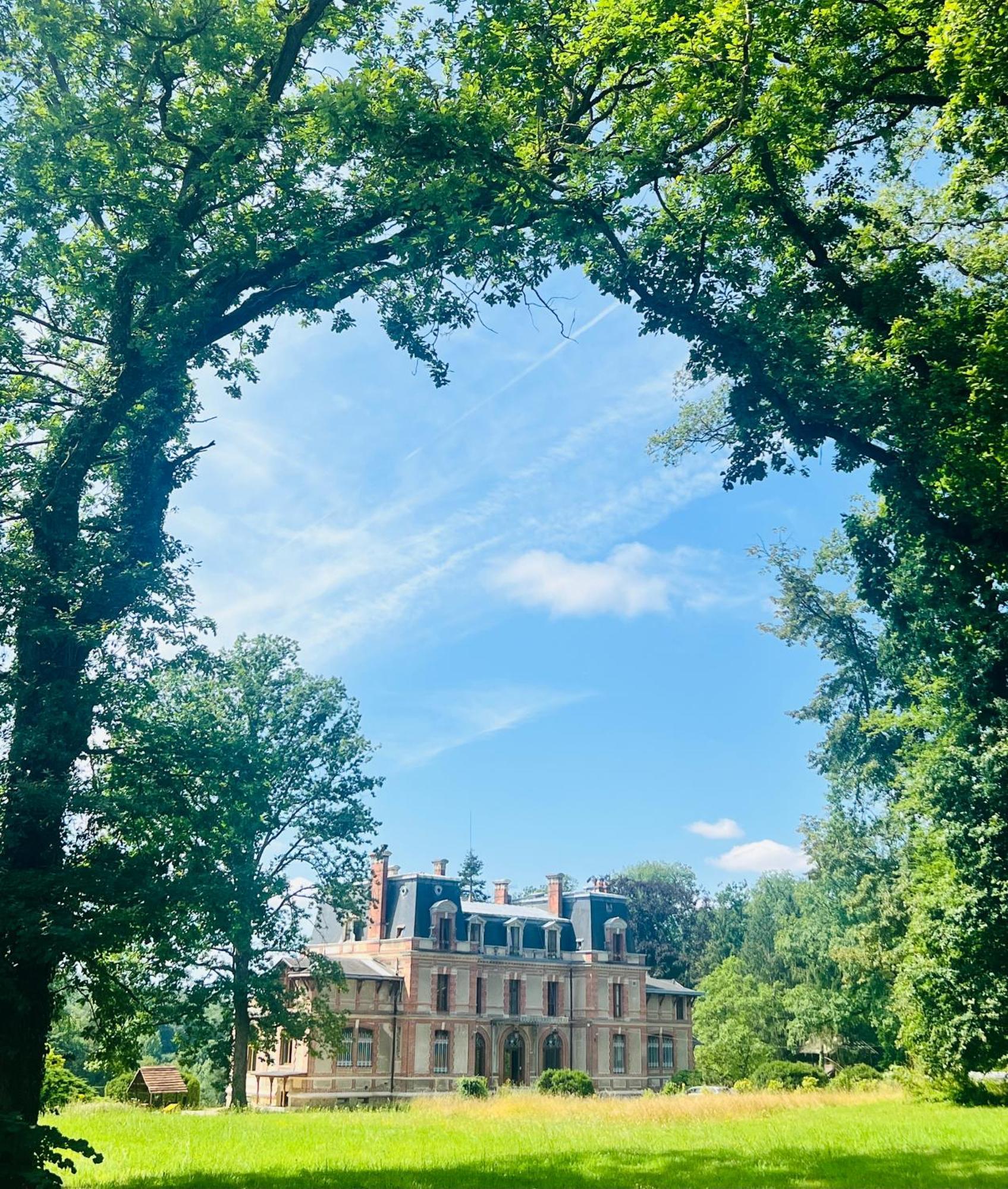 Chateau De Crenille Chaumes-en-Brie Eksteriør billede